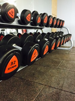 Free Weights Area