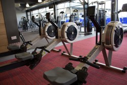 Glo gym rowing machines