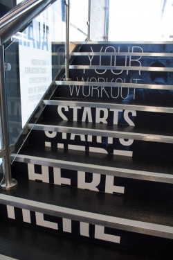 Glo gym stairs vinyl